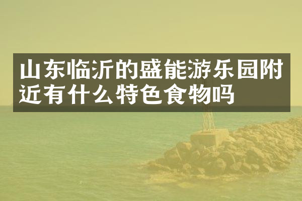 山东临沂的盛能游乐园附近有什么特色食物吗