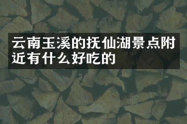 云南玉溪的抚仙湖景点附近有什么好吃的
