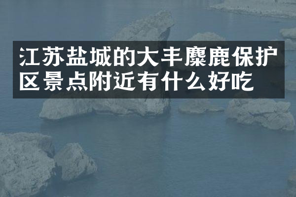 江苏盐城的大丰麋鹿保护区景点附近有什么好吃的