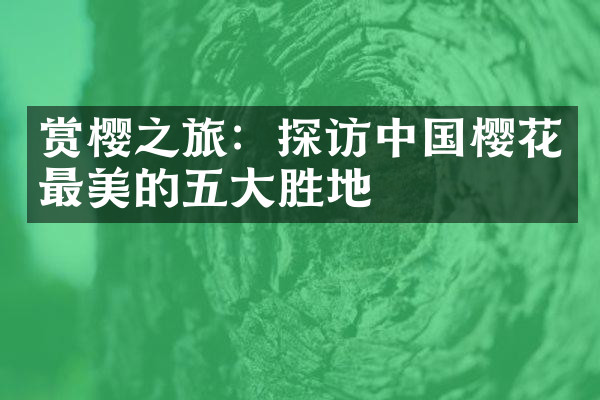 赏樱之旅：探访中国樱花最美的五大胜地