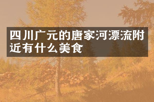 四川广元的唐家河漂流附近有什么美食