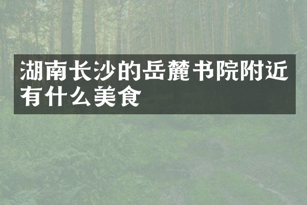 湖南长沙的岳麓书院附近有什么美食