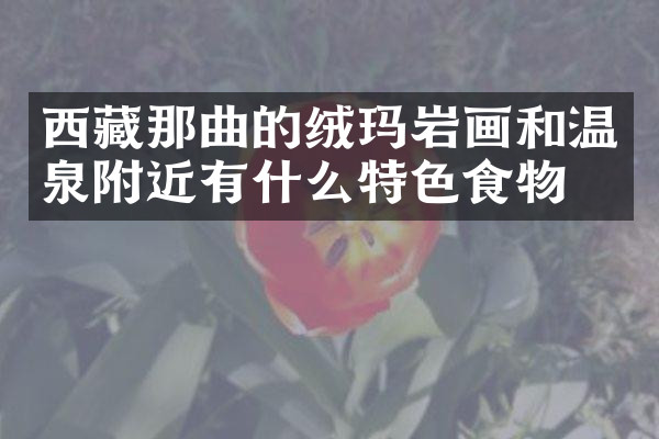 西藏那曲的绒玛岩画和温泉附近有什么特色食物吗