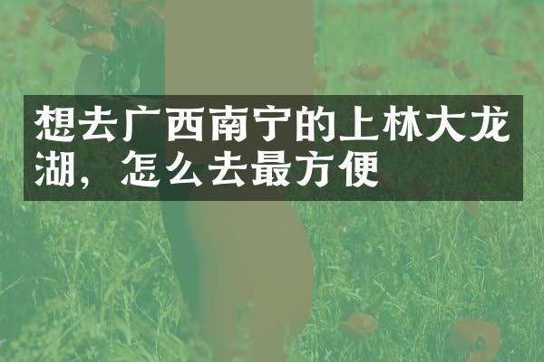 想去广西南宁的上林大龙湖，怎么去最方便