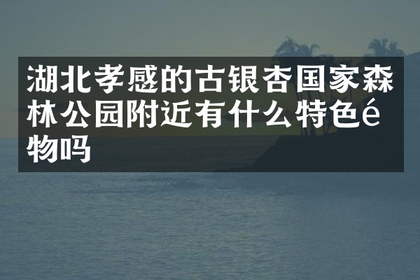 湖北孝感的古银杏国家森林公园附近有什么特色食物吗