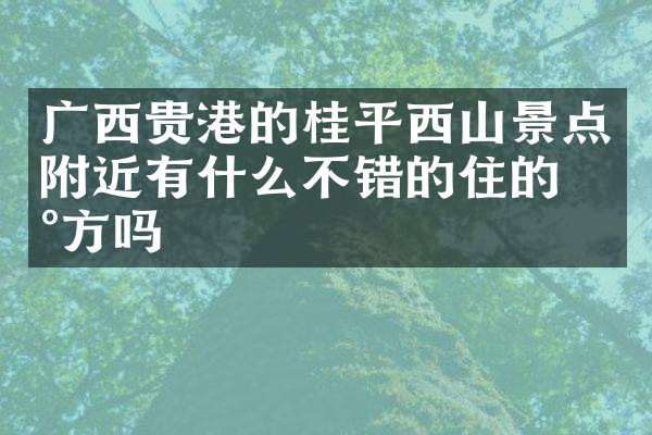 广西贵港的桂平西山景点附近有什么不错的住的地方吗