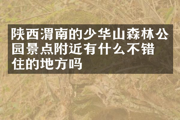陕西渭南的少华山森林公园景点附近有什么不错的住的地方吗