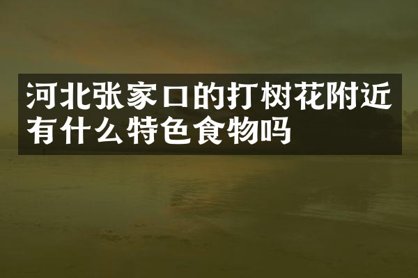 河北张家口的打树花附近有什么特色食物吗