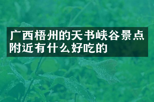 广西梧州的天书峡谷景点附近有什么好吃的