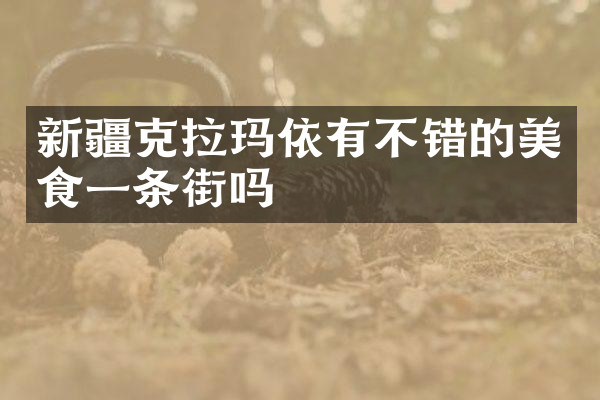 新疆克拉玛依有不错的美食一条街吗