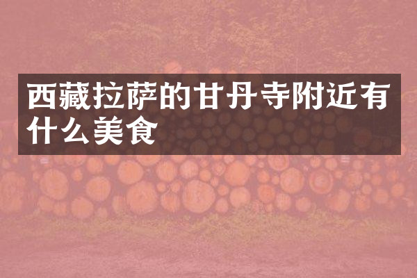 西藏拉萨的甘丹寺附近有什么美食