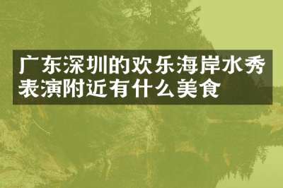 广东深圳的欢乐海岸水秀表演附近有什么美食