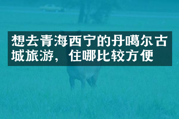 想去青海西宁的丹噶尔古城旅游，住哪比较方便