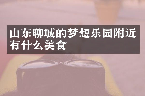 山东聊城的梦想乐园附近有什么美食