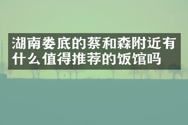 湖南娄底的蔡和森附近有什么值得推荐的饭馆吗