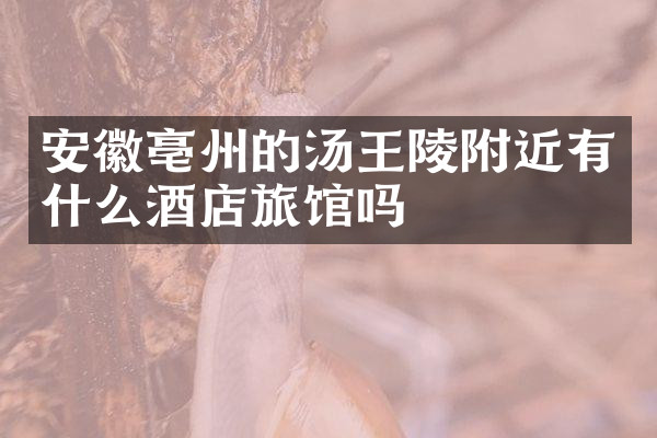 安徽亳州的汤王陵附近有什么酒店旅馆吗