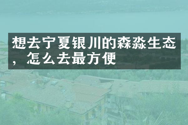 想去宁夏银川的森淼生态，怎么去最方便