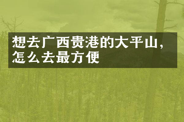 想去广西贵港的大平山，怎么去最方便