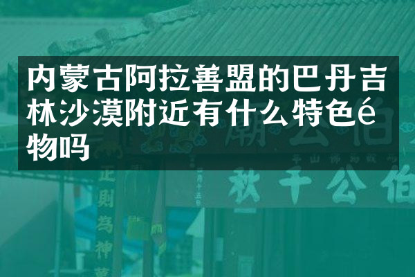 内蒙古阿拉善盟的巴丹吉林沙漠附近有什么特色食物吗