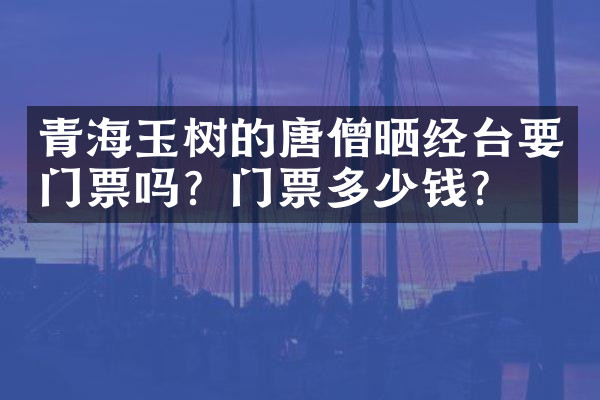 青海玉树的唐僧晒经台要门票吗？门票多少钱？