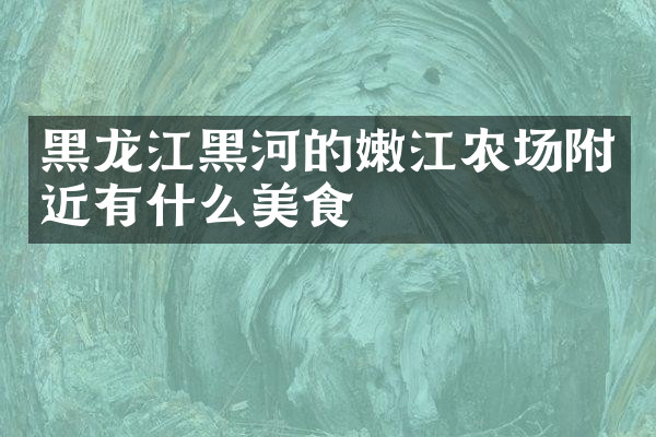黑龙江黑河的嫩江农场附近有什么美食