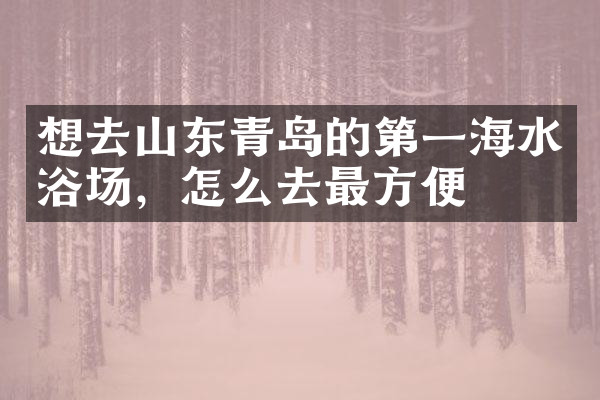 想去山东青岛的第一海水浴场，怎么去最方便