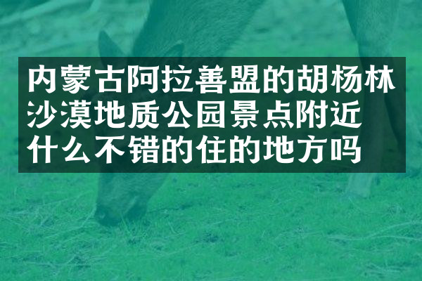 内蒙古阿拉善盟的胡杨林沙漠地质公园景点附近有什么不错的住的地方吗