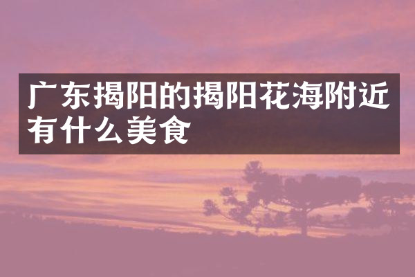 广东揭阳的揭阳花海附近有什么美食