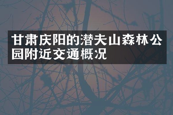 甘肃庆阳的潜夫山森林公园附近交通概况