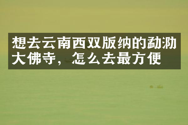 想去云南西双版纳的勐泐大佛寺，怎么去最方便