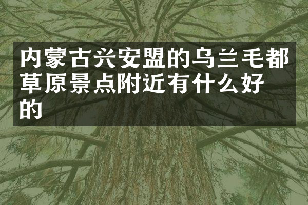 内蒙古兴安盟的乌兰毛都草原景点附近有什么好吃的