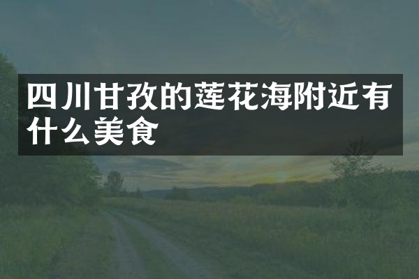 四川甘孜的莲花海附近有什么美食