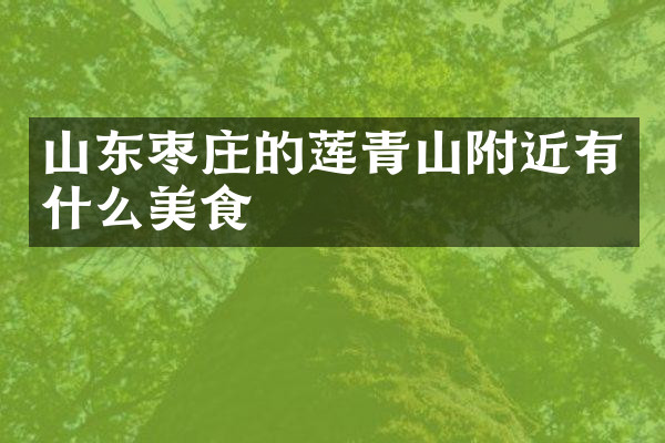山东枣庄的莲青山附近有什么美食