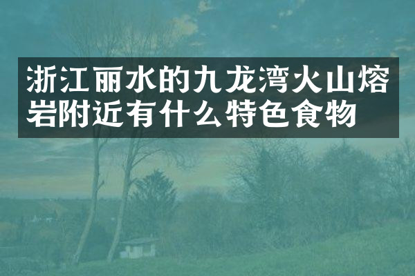 浙江丽水的九龙湾火山熔岩附近有什么特色食物吗