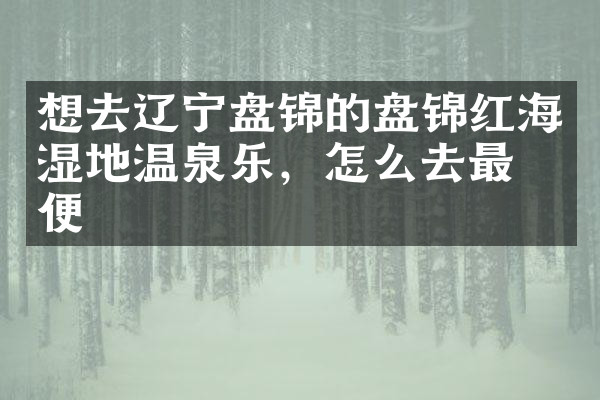 想去辽宁盘锦的盘锦红海湿地温泉乐，怎么去最方便