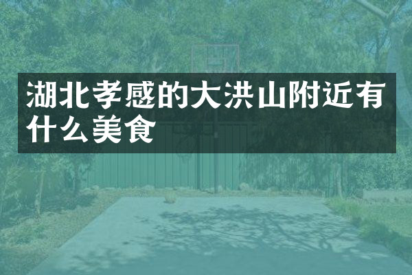 湖北孝感的大洪山附近有什么美食