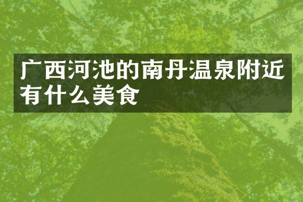 广西河池的南丹温泉附近有什么美食