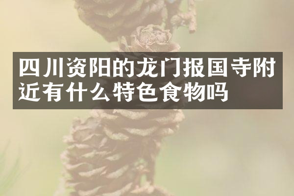 四川资阳的龙门报国寺附近有什么特色食物吗