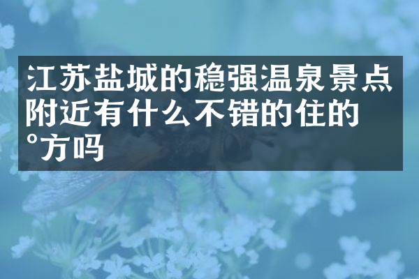 江苏盐城的稳强温泉景点附近有什么不错的住的地方吗
