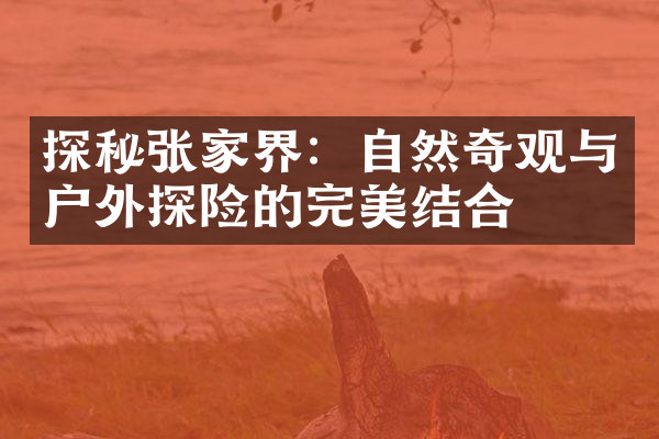 探秘张家界：自然奇观与户外探险的完美结合