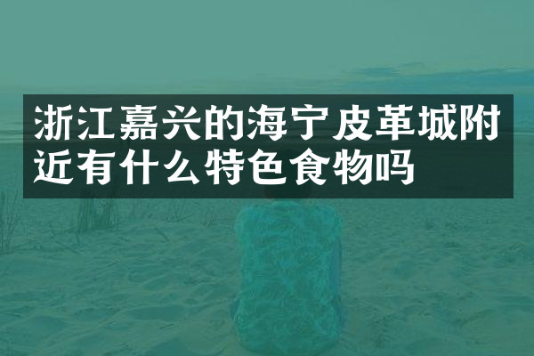 浙江嘉兴的海宁皮革城附近有什么特色食物吗
