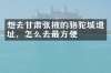 想去甘肃张掖的骆驼城遗址，怎么去最方便
