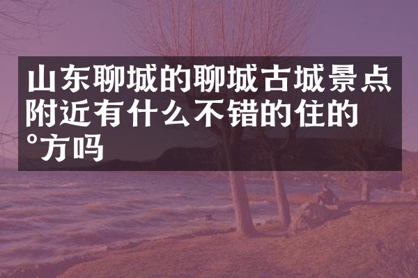 山东聊城的聊城古城景点附近有什么不错的住的地方吗