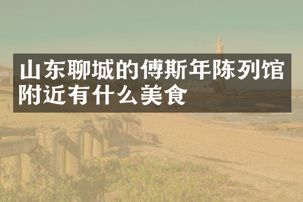 山东聊城的傅斯年陈列馆附近有什么美食