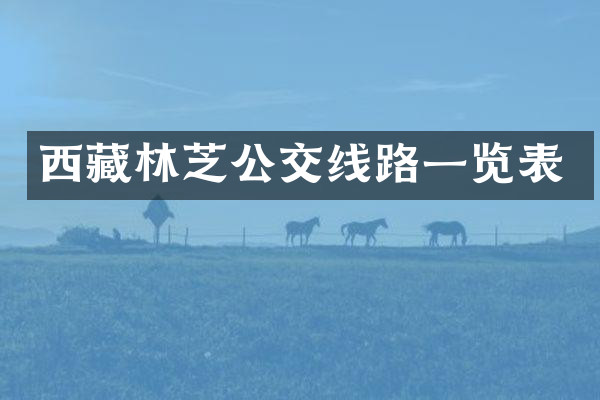 西藏林芝公交线路一览表