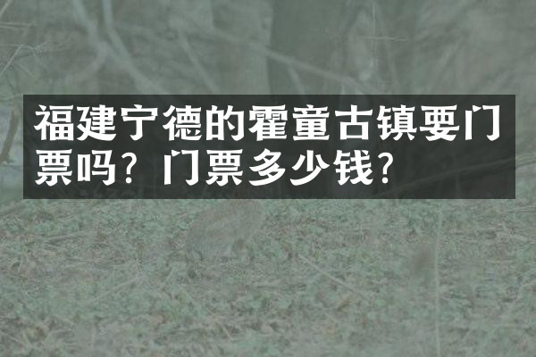 福建宁德的霍童古镇要门票吗？门票多少钱？