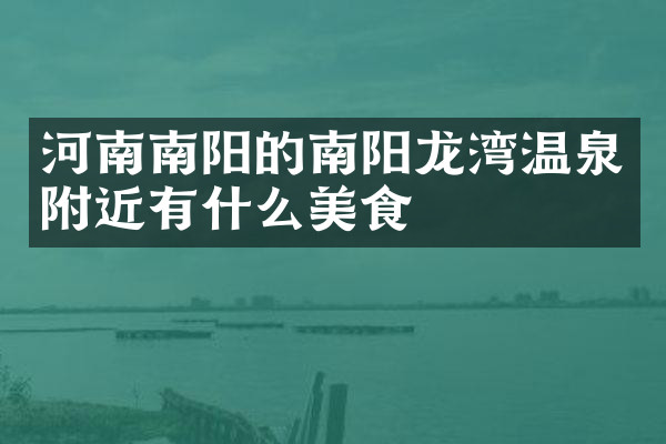 河南南阳的南阳龙湾温泉附近有什么美食