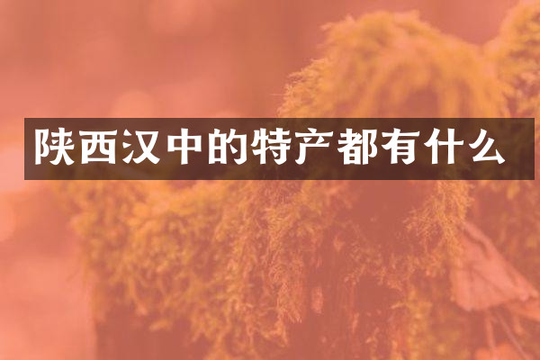 陕西汉中的特产都有什么