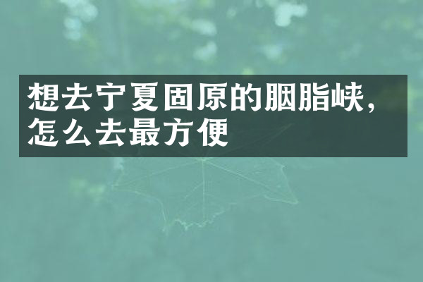 想去宁夏固原的胭脂峡，怎么去最方便