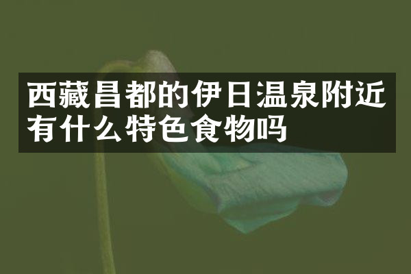 西藏昌都的伊日温泉附近有什么特色食物吗